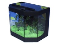 Aqu�rio Hobby Jogo